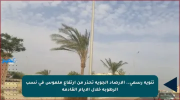تنويه رسمي.. الأرصاد الجوية تحذر من ارتفاع ملموس في نسب الرطوبة خلال الأيام القادمة